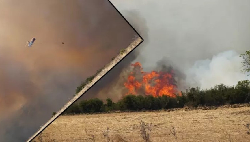Tekirdağ’da anız yangını ormana sıçradı