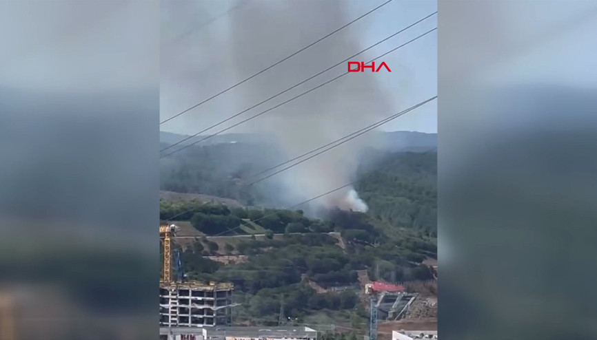 İstanbulda Sultangazi Kent Ormanı’nda yangın