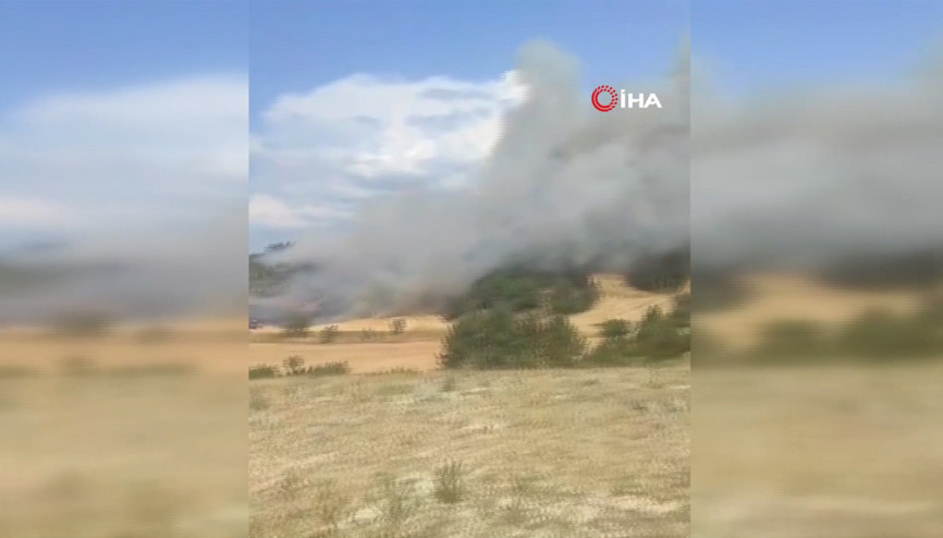 Boluda orman yangını