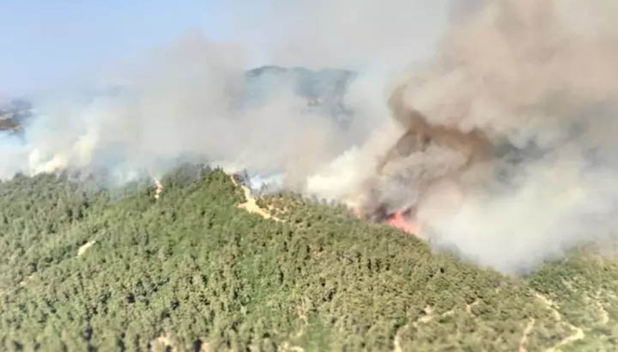 Balıkesirdeki orman yangınına müdahale sürüyor