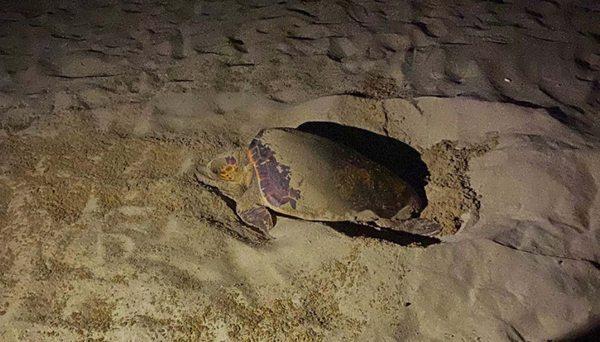 İzmirde yılın ilki gerçekleşti Hemen o alandan uzaklaşın...