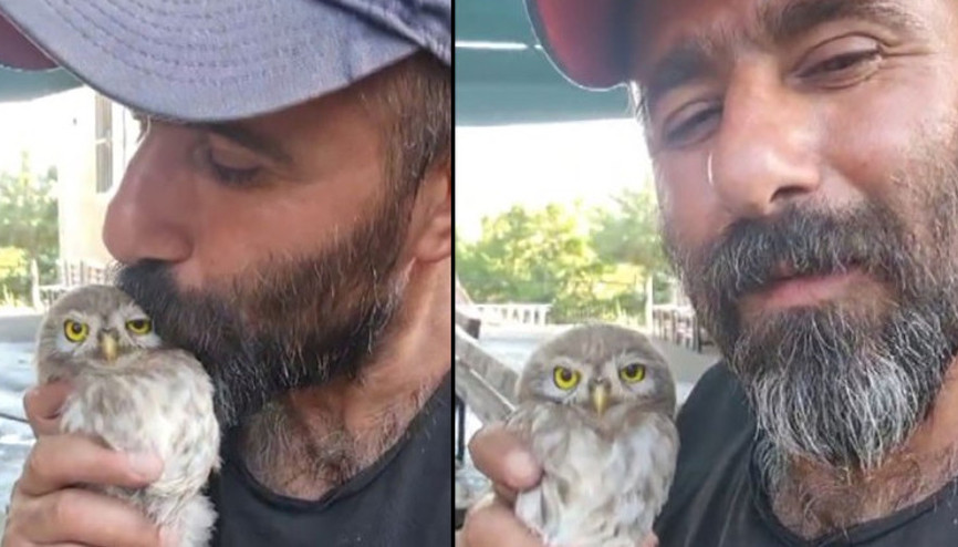 Tuncelide yavru baykuş, kendisini seven vatandaştan ayrılmak istemedi