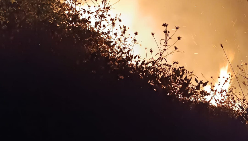 Bolu’da örtü yangını