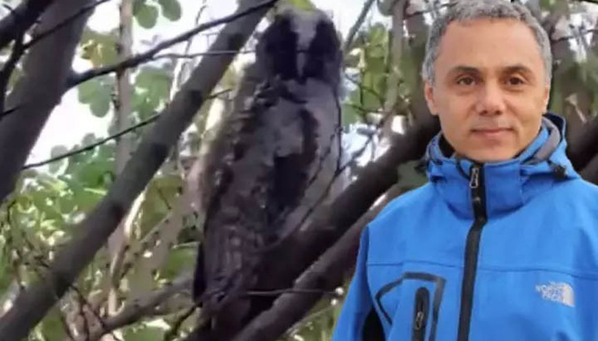 Evinizin çevresinde görürseniz sevinin deyip uyardı: Sakın zarar vermeyin Evinizin çevresinde görürseniz sevinin deyip uyardı: Sakın zarar vermeyin