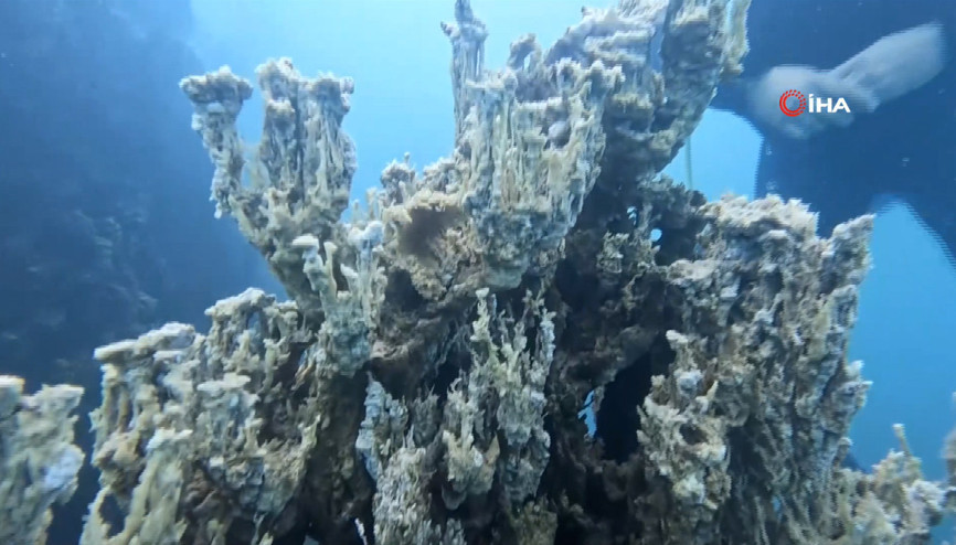 Van Gölü’nde şu ana kadarki en büyük mikrobiyalit görüntülendi