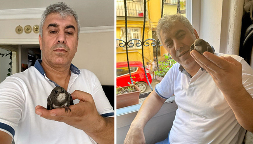 İstanbulda muhteşem olay Sokakta yaralı bulup tedavi etmişti, 6 yıl sonra geri döndü İstanbulda muhteşem olay Sokakta yaralı bulup tedavi etmişti, 6 yıl sonra geri döndü