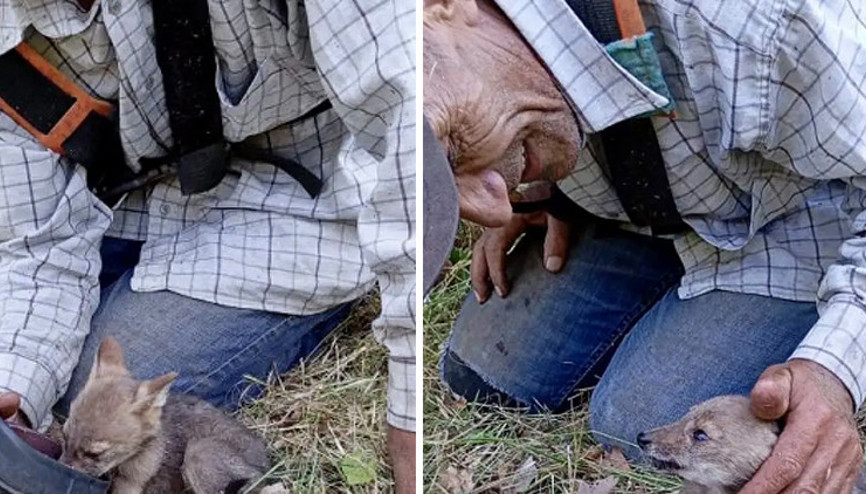 Kalpleri ısıtan görüntü: Yanına gelince ayakkabısı ile su içirdi