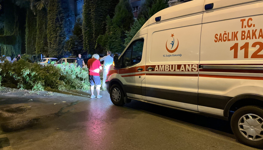 Seyir halindeyken üzerine ağaç dalları düşen motosikletli yaralandı