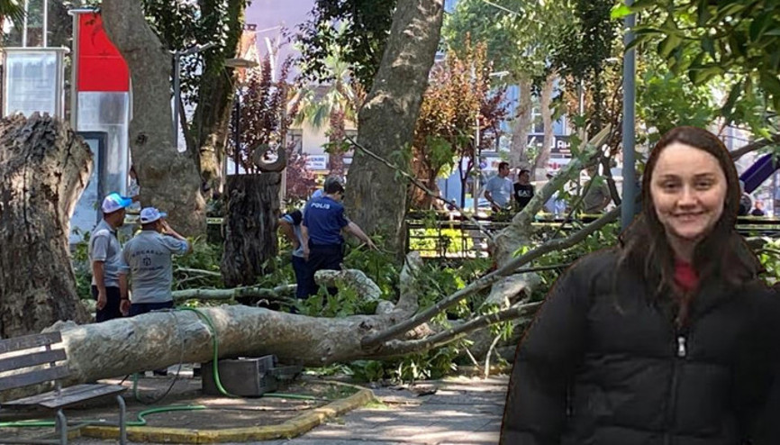 Kocaelide üzerine ağaç dalı düşen 18 yaşındaki Selda, hayatını kaybetti