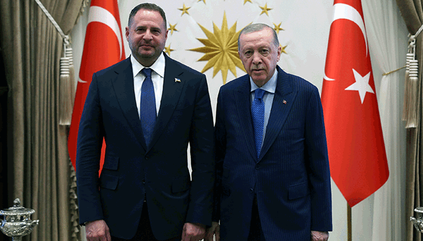 Cumhurbaşkanı Erdoğan, Ukrayna Devlet Başkanlığı Ofisi Başkanını kabul etti