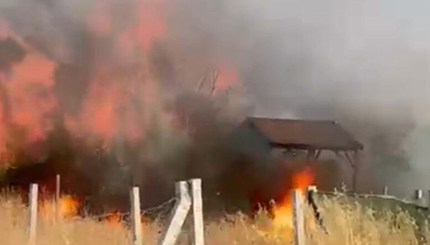 İzmir’de tarım arazisindeki yangında 8 ev zarar gördü