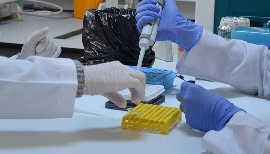 Japonya, kök hücreden insan embriyosu üretimine onay verdi