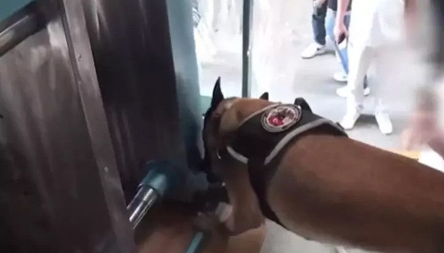 Çatalcada uyuşturucu operasyonu: 60 kilo kokain ele geçirildi