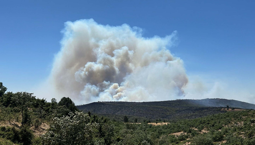 Uşakta meşelik ve orman yangını