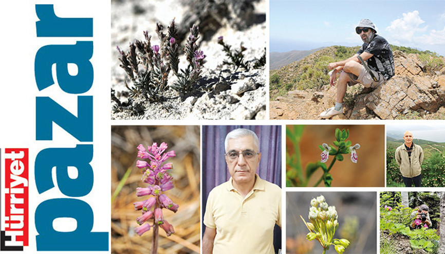 Endemik bitkilerin peşindeki gönüllü kâşifler