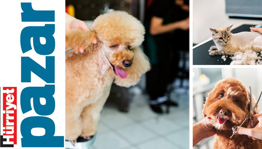 ‘Kürkleri güneşe karşı fiziksel bir bariyer’