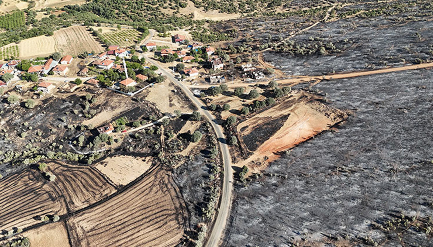 Ciğerlerimiz yanıyor Bursa, Uşak, Elazığ, Karabük ve Kahramanmaraşta orman yangınlarında son durum