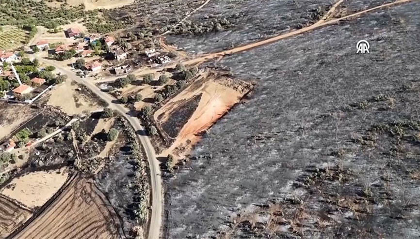 Uşakta orman yangını: Yanan alanlar havadan görüntülendi