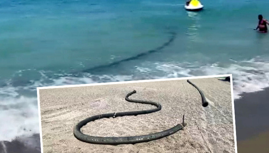 Şaşkına çeviren manzara Antalyada sahile vurdu: 500 metre uzunluğunda