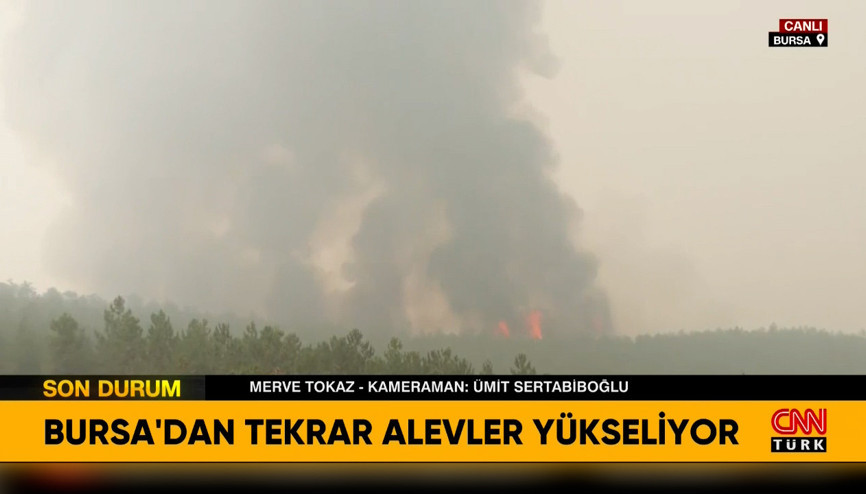 Bursada orman yangını: Alevler tekrar yükseliyor