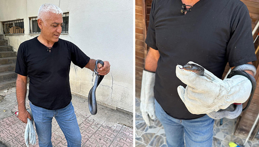 Tuncelide tuvalette yakalandı, tekrar doğal ortamına bırakıldı