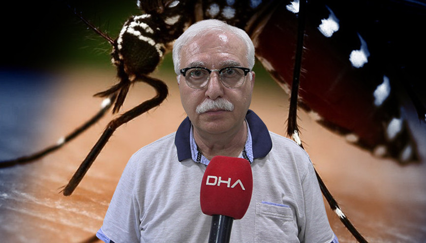 Sivrisineklerden bulaşıyor Uzman isimden Chikungunya virüsü açıklaması: Yakın bir tehdit söz konusu değil