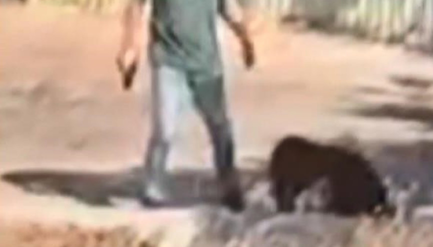 İstanbul - Ümraniyede sokak ortasında kafasına silah dayadığı kadını darbetti