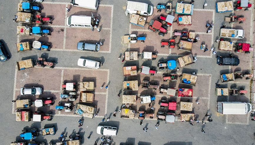 Namı tüm dünyaya yayıldı: AB coğrafi işaret tescili var Tarladan toplayıp ilçede satıyorlar Namı tüm dünyaya yayıldı: AB coğrafi işaret tescili var Tarladan toplayıp ilçede satıyorlar