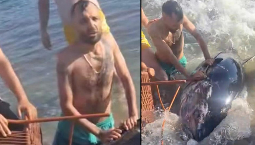 İzmirin Çeşme ilçesinde kıyıya vurdu: Sandalye ile tutmaya çalıştılar