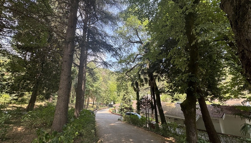 Türkiyenin ilk arboretumu