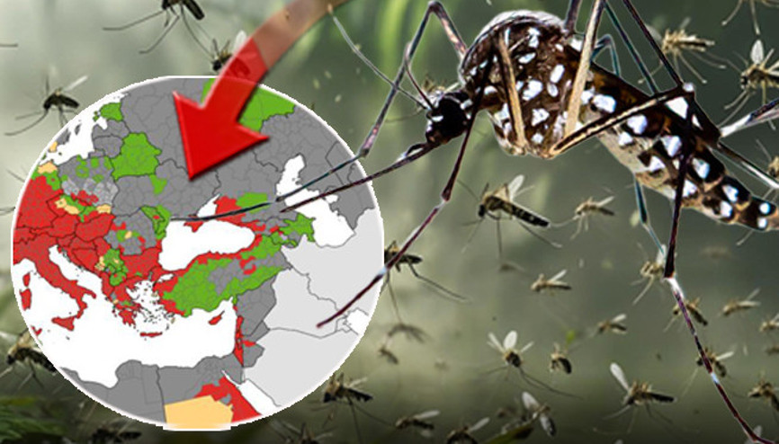 Chikungunya ateşi yayılıyor Tüm Ege ve Karadeniz sahili kırmızı alanda Küresel bir salgına dönüşür mü