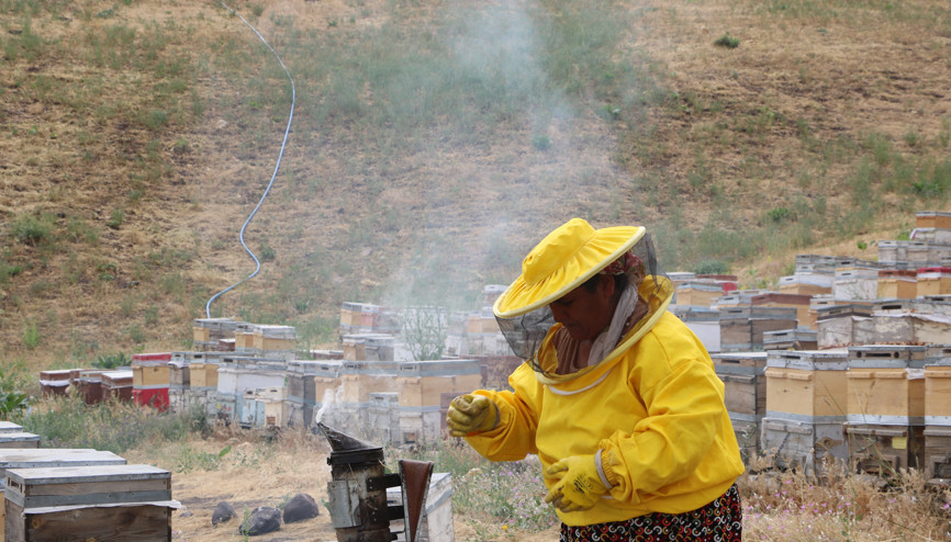 Devlet destekli arıcılığa başlayan 6 çocuk annesi, birçok şehre bal satıyor Devlet destekli arıcılığa başlayan 6 çocuk annesi, birçok şehre bal satıyor