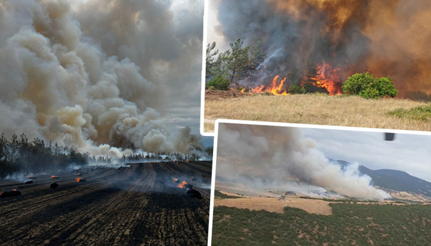Son dakika... Bursa ve Tekirdağdaki yangınlar kontrol altına alındı