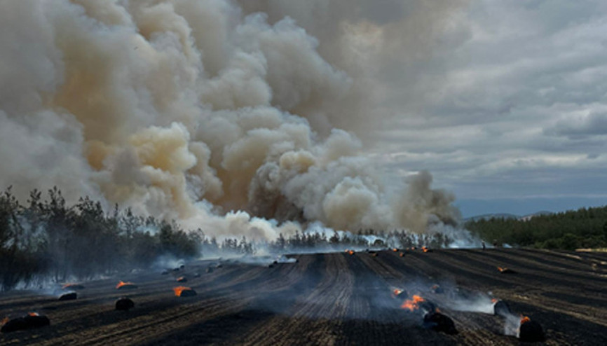 Bursa Yenişehirdeki orman yangınına müdahale ediliyor