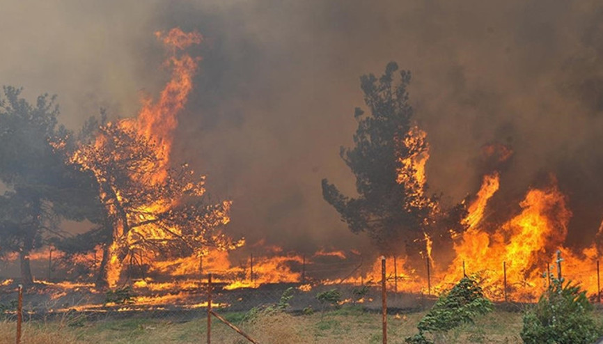 Yeşil Vatan için Türkiye tek yürek: Binlerce gönüllü CİMER’e koştu