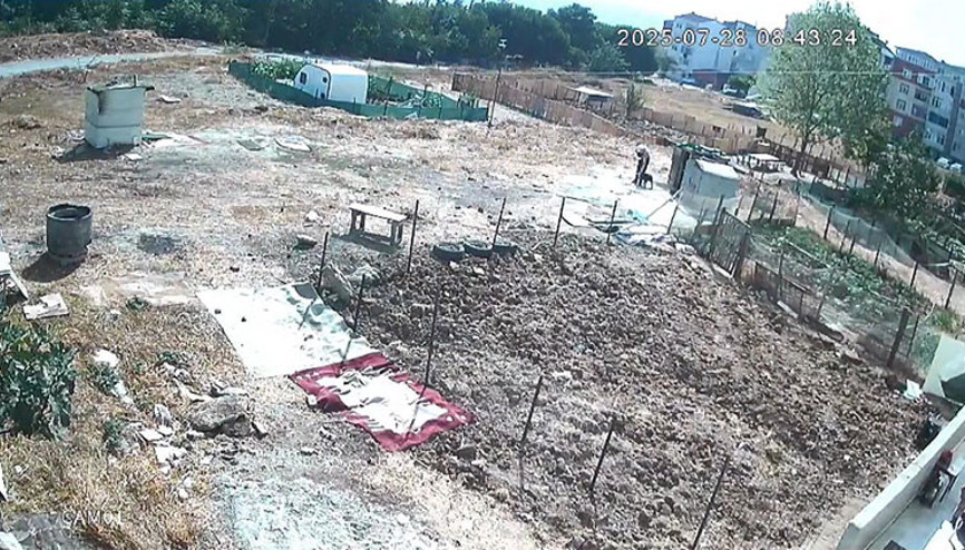 Esenyurtta köpek işkenceyle öldürüldü iddiası
