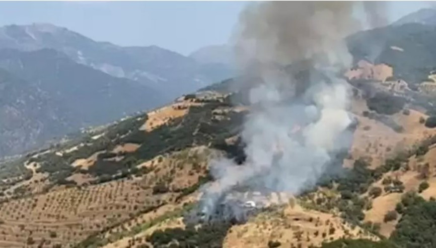 Aydın’da zirai alanda yangın