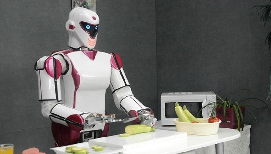 İlk insansı robot Tek beyin-çoklu form sistemine sahip