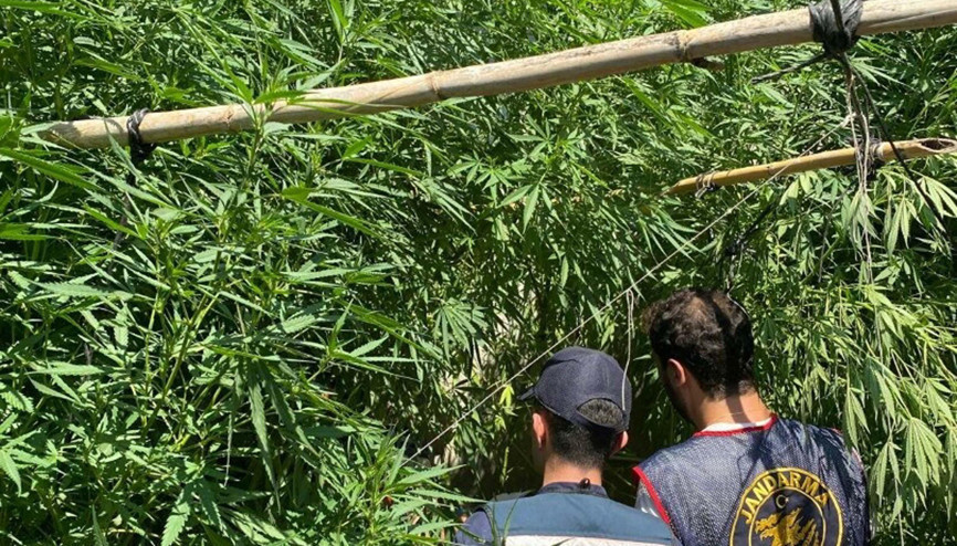 Evinde uyuşturucuyla yakalanıp, gözaltına alındı