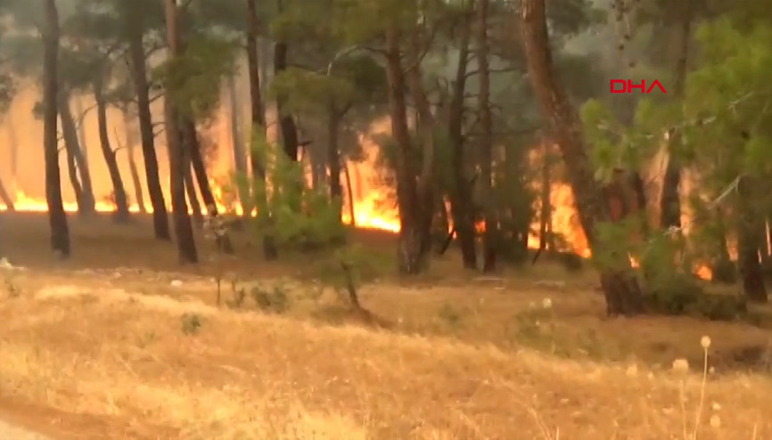 Çanakkale’nin Bayramiç ilçesinde orman yangını