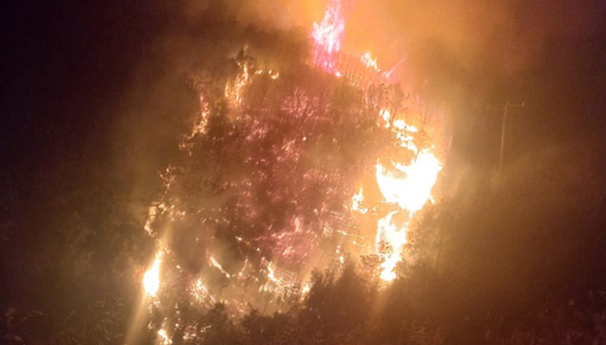 Nazillideki orman yangını kontrol altına alındı Nazillideki orman yangını kontrol altına alındı