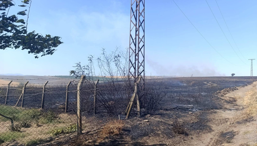Edirnede anız yangını paniğe neden oldu Alevler fabrikaya sıçramadan söndürüldü