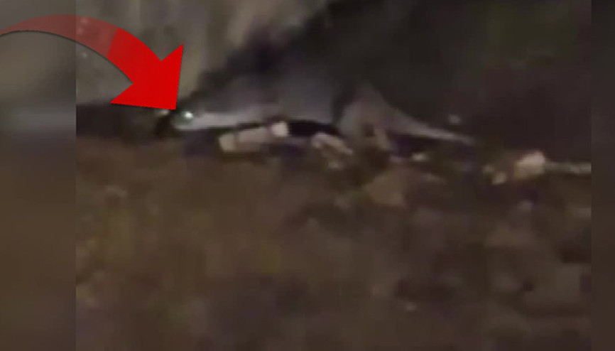 Bursalı vatandaş şaşkınlık içinde görüntüledi: Yaradana kurban olayım