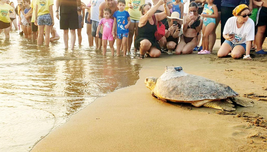 İyi yolculuklar ‘Tuba’