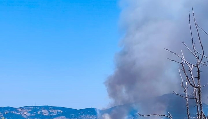 Boluda orman yangını