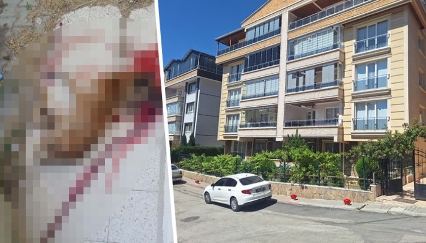 Ankarada polis, sokak köpeğini tabancayla vurarak öldürdü Kendisine saldırdığını iddia etti