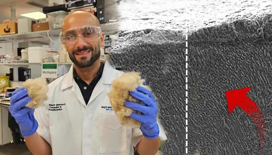 Saçtan yapılan diş macunu Bilim insanlarını şaşırttı, inanılmaz bir etki yarattı… Raflarda yerini alacak