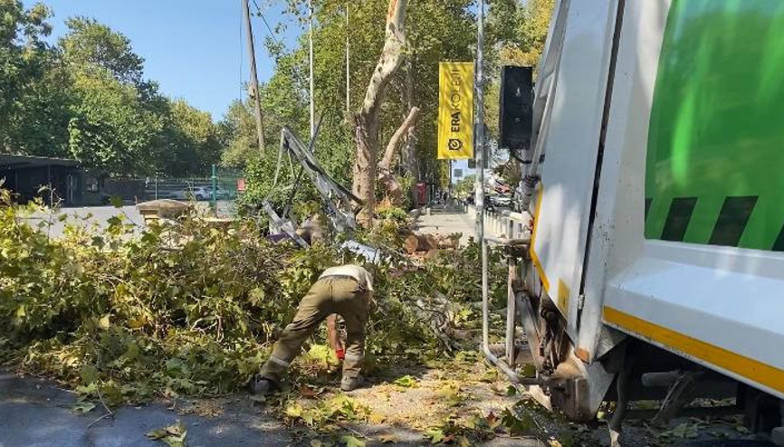 İstanbul - Bakırköy’de rüzgarın etkisiyle devrilen ağaç, Atatürk Ormanının girişini kapattı