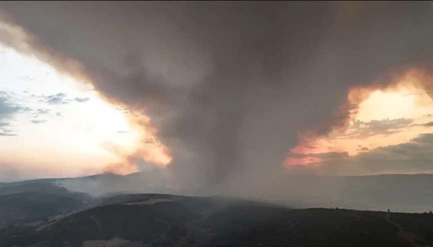 Çanakkale’de orman yangını 2’nci gününde... Gelibolu’da alevlerden kaçan karaca görüntülendi Çanakkale’de orman yangını 2’nci gününde... Gelibolu’da alevlerden kaçan karaca görüntülendi