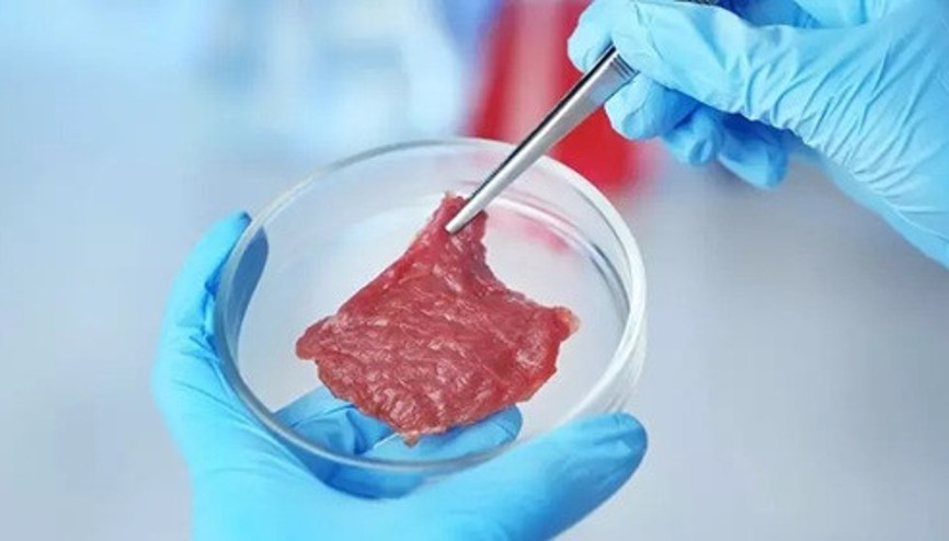 Tarım ve Orman Bakanı Yumaklı, yapay et iddialarına yanıt verdi